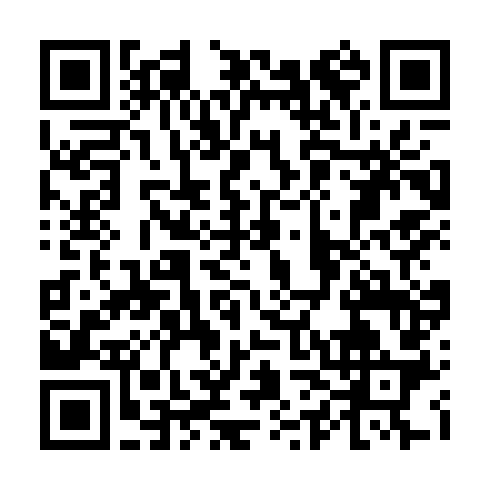 QR code for Girl with a Pearl Earring image AR