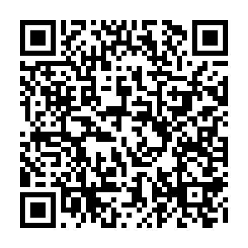 QR code for Girl with a Pearl Earring spatial placement